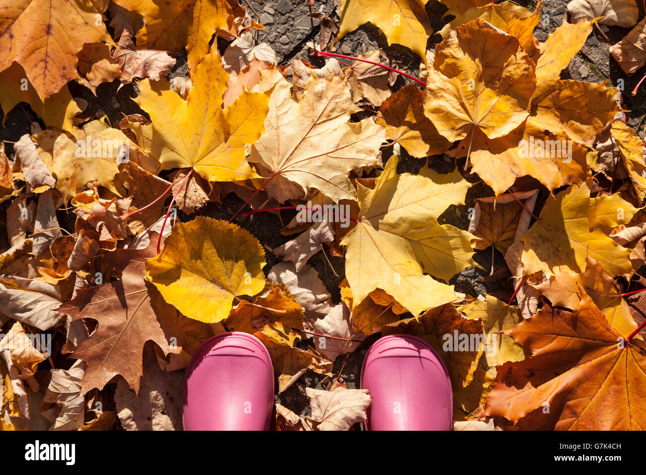Kind mit rosa Gummi-Stiefel im Herbst Stockfoto