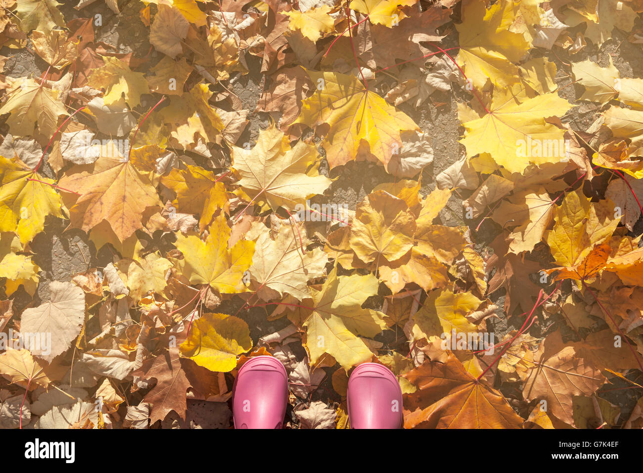 Rosa Gummistiefel eines Kindes im Herbst Stockfoto