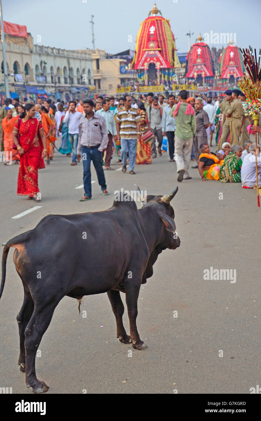 Rathyatra oder Chariot Festival mit Jagannatha-Tempel im Hintergrund, Puri, Orissa, Indien Stockfoto