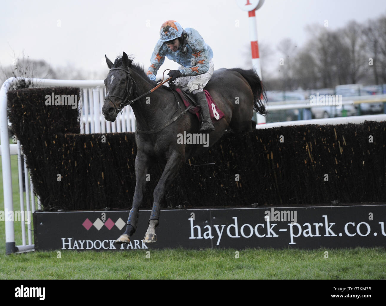 Samstown unter Brian Harding springt beim Peter Marsh Chase Day auf der Haydock Park Racecourse, Newton-le-Willows, den letzten Zaun auf ihrem Weg zum Sieg in der Peter Marsh Chase. Stockfoto
