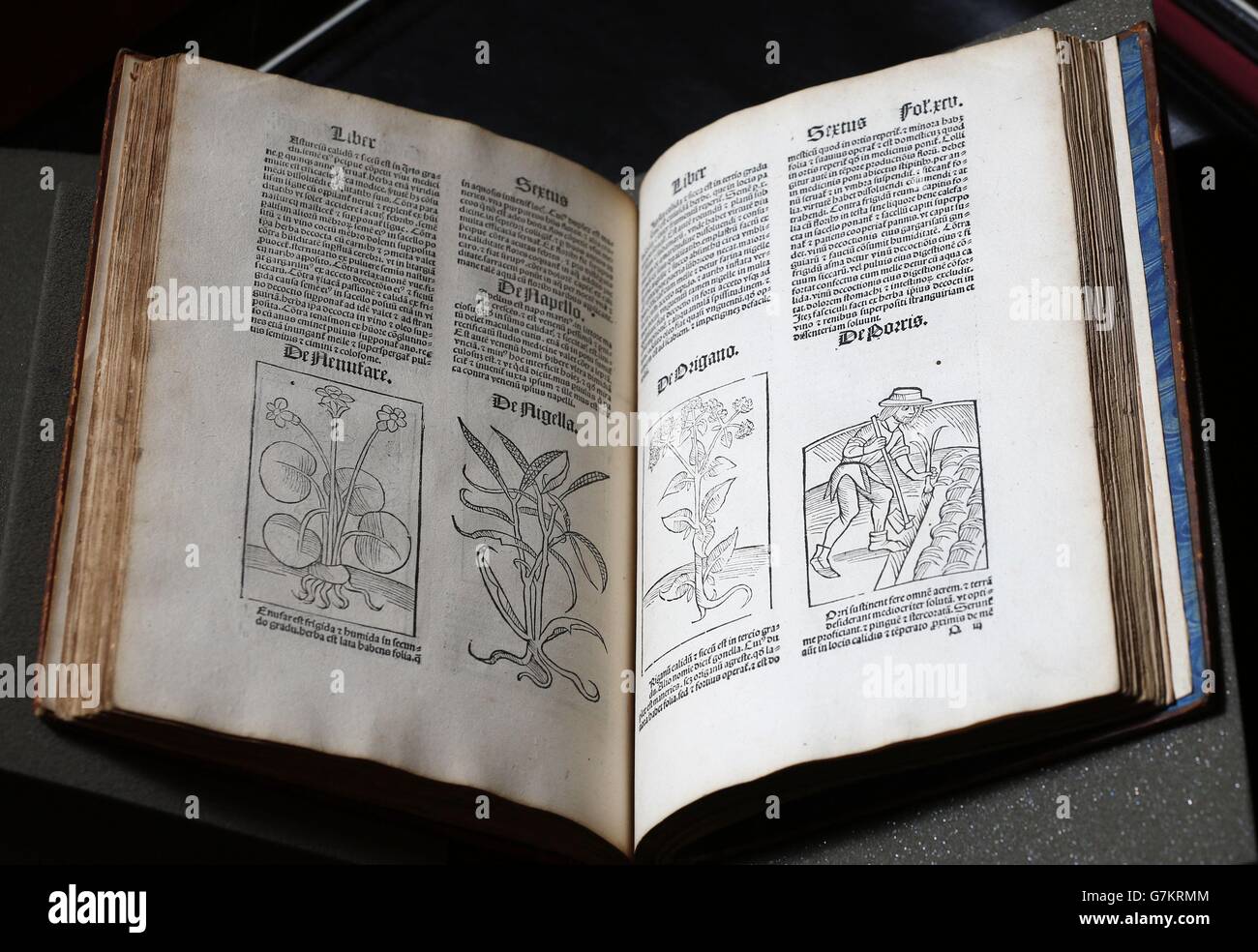 Henry VIII's Gartenhandbuch in der Royal Library im Windsor Castle, das in der kommenden Ausstellung Painting Paradise: The Art of the Garden des Royal Collection Trust zu sehen sein wird. Stockfoto