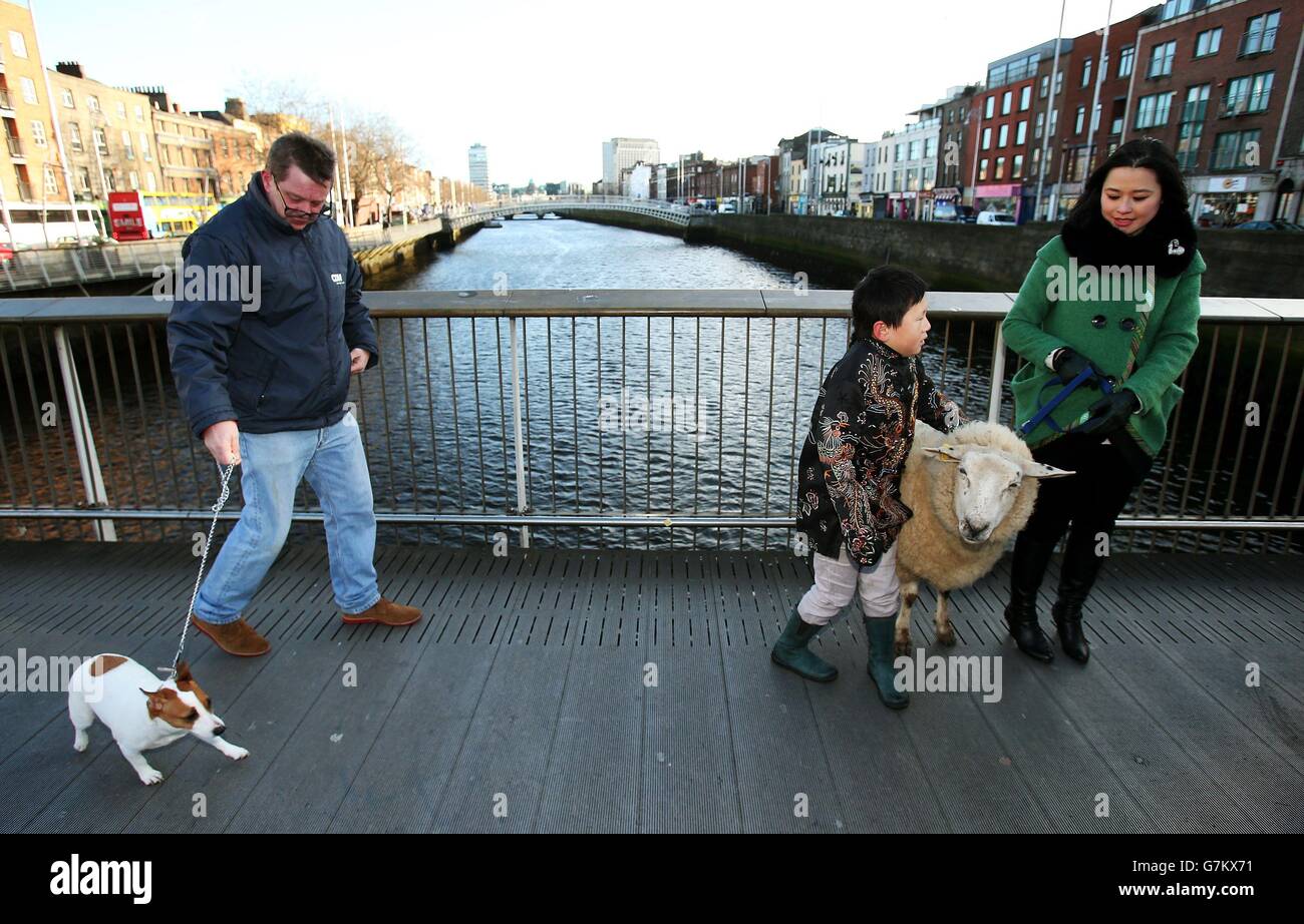 Amy-Yin Zhang und Luke Wang, sieben, mit dem Schaf „Lincoln“, beim Start des chinesischen Neujahrsfestes „das Jahr der Schafe“ in Dublin. Stockfoto