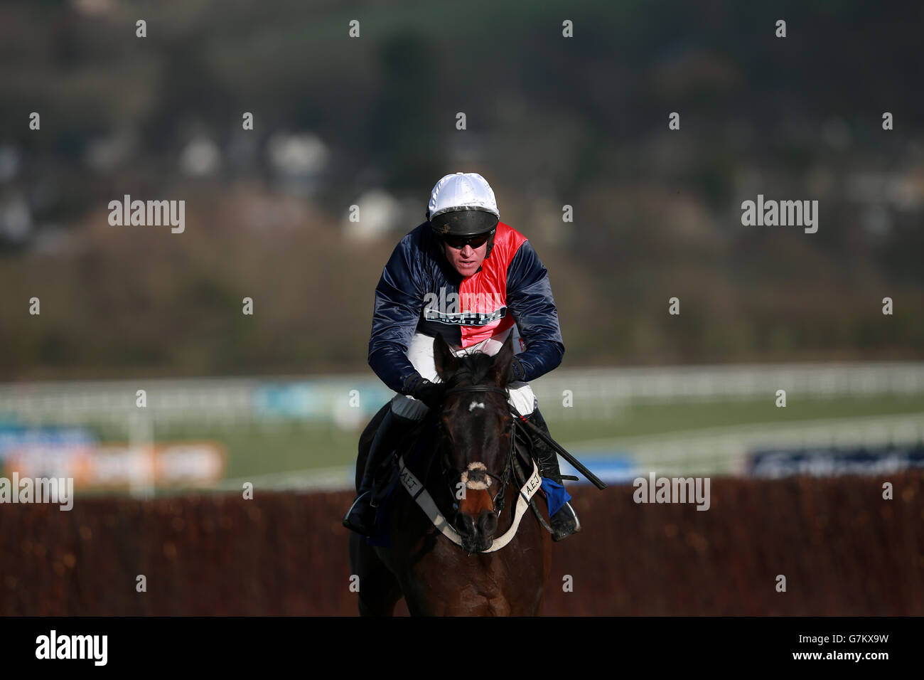 Pferderennen Sie - Festival Studien Tag - Cheltenham Racecourse Stockfoto