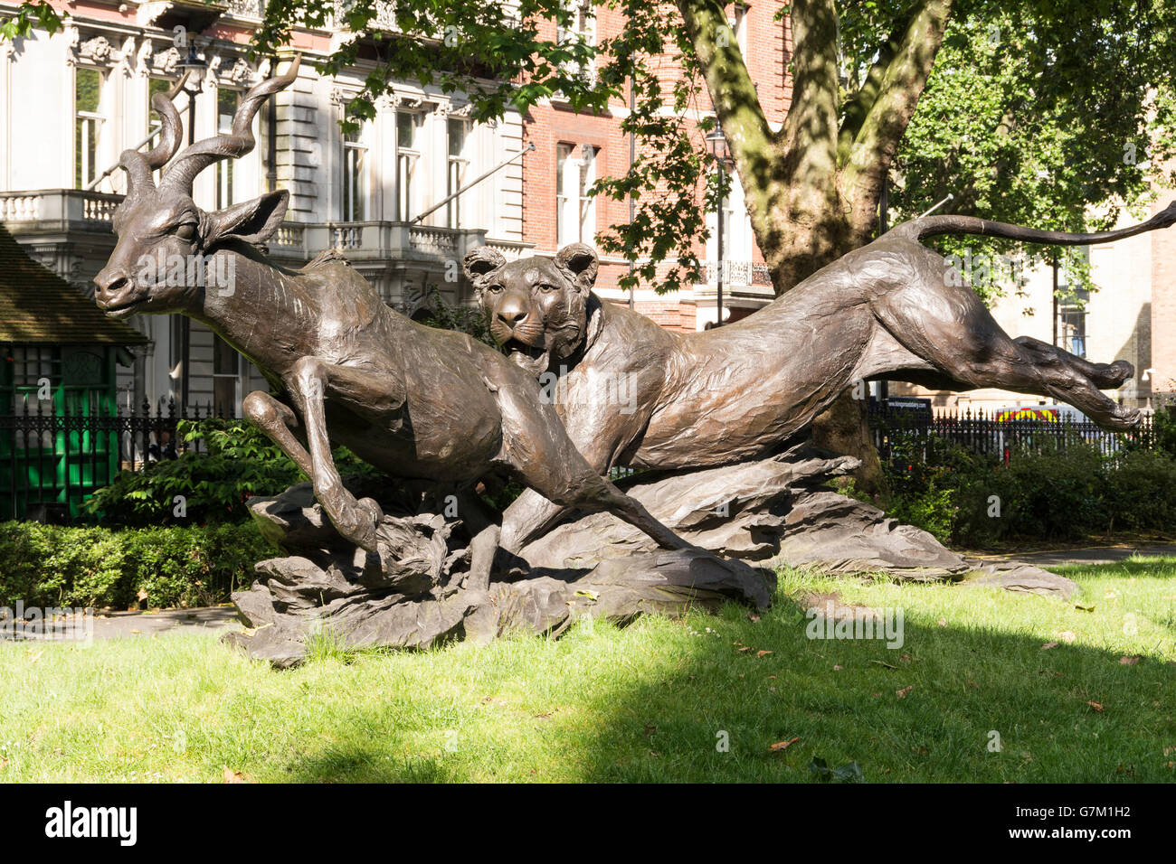 Skulptur von einer Löwin jagt ein Lesser Kudu in Upper Grosvenor Gardens, London, UK, durch Jonathan Kenworthy Stockfoto
