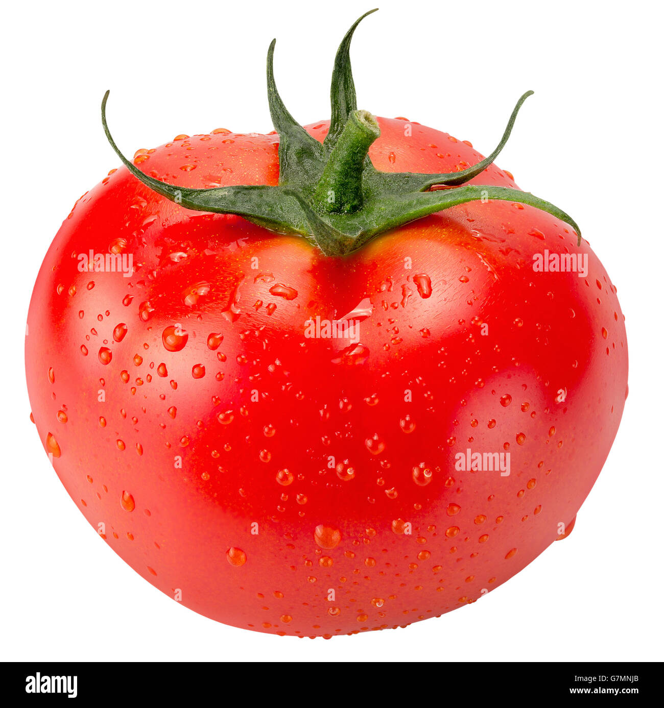 Tomate mit Wassertropfen auf dem weißen Hintergrund isoliert. Stockfoto