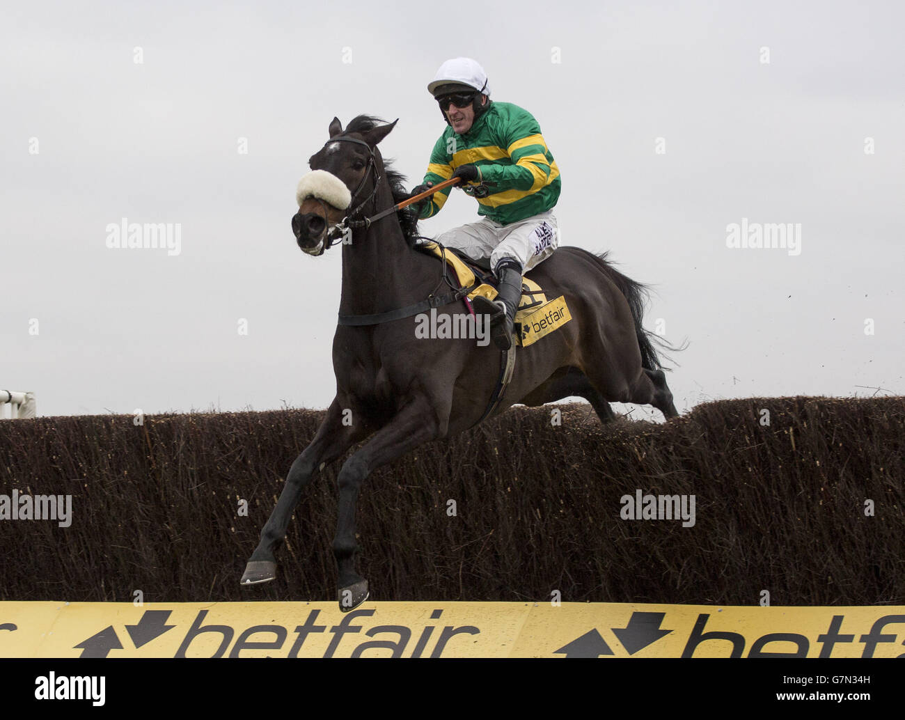 Tony McCoy und Mr. Mole räumen den letzten Zaun, bevor sie das Betfair Price Rush Steeple Chase Race während des Betfair Super Saturday auf der Newbury Racecourse in Newbury gewinnen. DRÜCKEN SIE VERBANDSFOTO. Bilddatum: Samstag, 7. Februar 2015. Tony McCoy gab heute bekannt, dass er am Ende der Saison aus dem Rennen ausscheiden wird. Siehe PA Story RACING McCoy. Bildnachweis sollte lauten: Julian Herbert/PA Wire Stockfoto