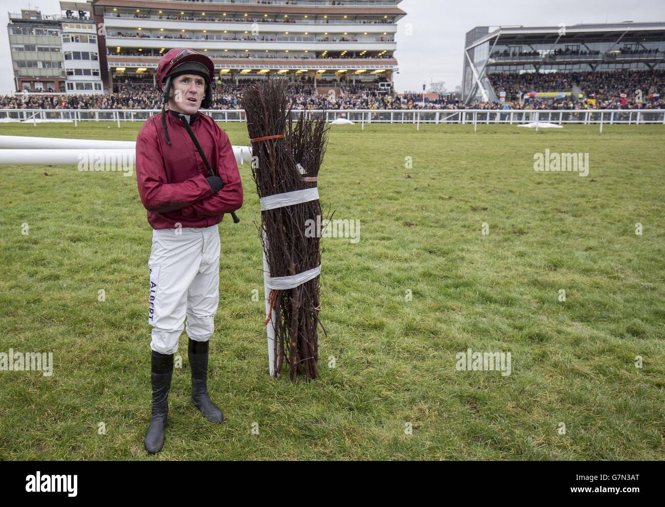 Nachdem Tony McCoy beim ersten Flug vom Goodwood Mirage gefallen ist, schaut er sich das Betfair Hurdle Race während des Betfair Super Saturday auf der Newbury Racecourse in Newbury an. Stockfoto