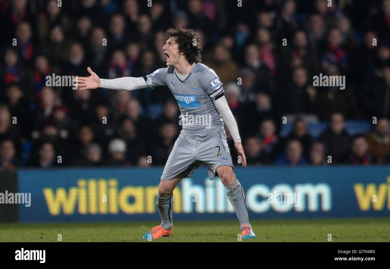 Fußball - Barclays Premier League - Crystal Palace gegen Newcastle United – Selhurst Park Stockfoto