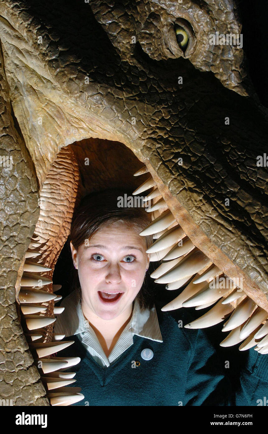 Fiona McVerry von der Holy Child School, Killiney, County Dublin, legt ihren Kopf in die Kiefer eines fast lebensgroßen Tyrannosaurus Rex. Stockfoto