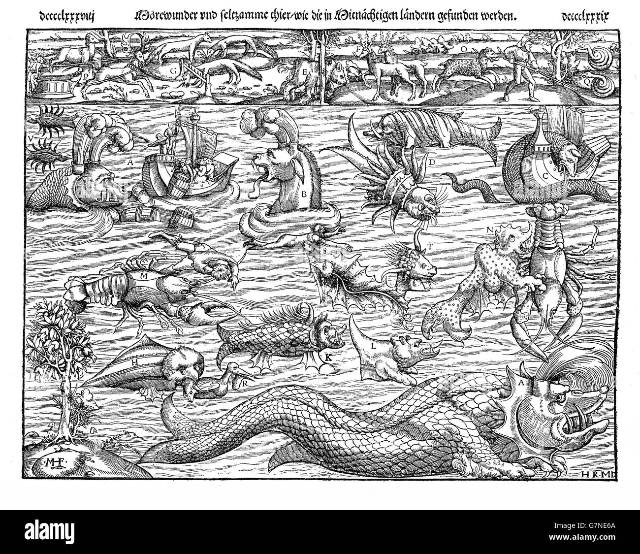 1550 ca., bebilderte Mittelalter Beschreibung der marine Monster der vielen Formen, einschließlich Seedrachen und Seeschlangen Stockfoto