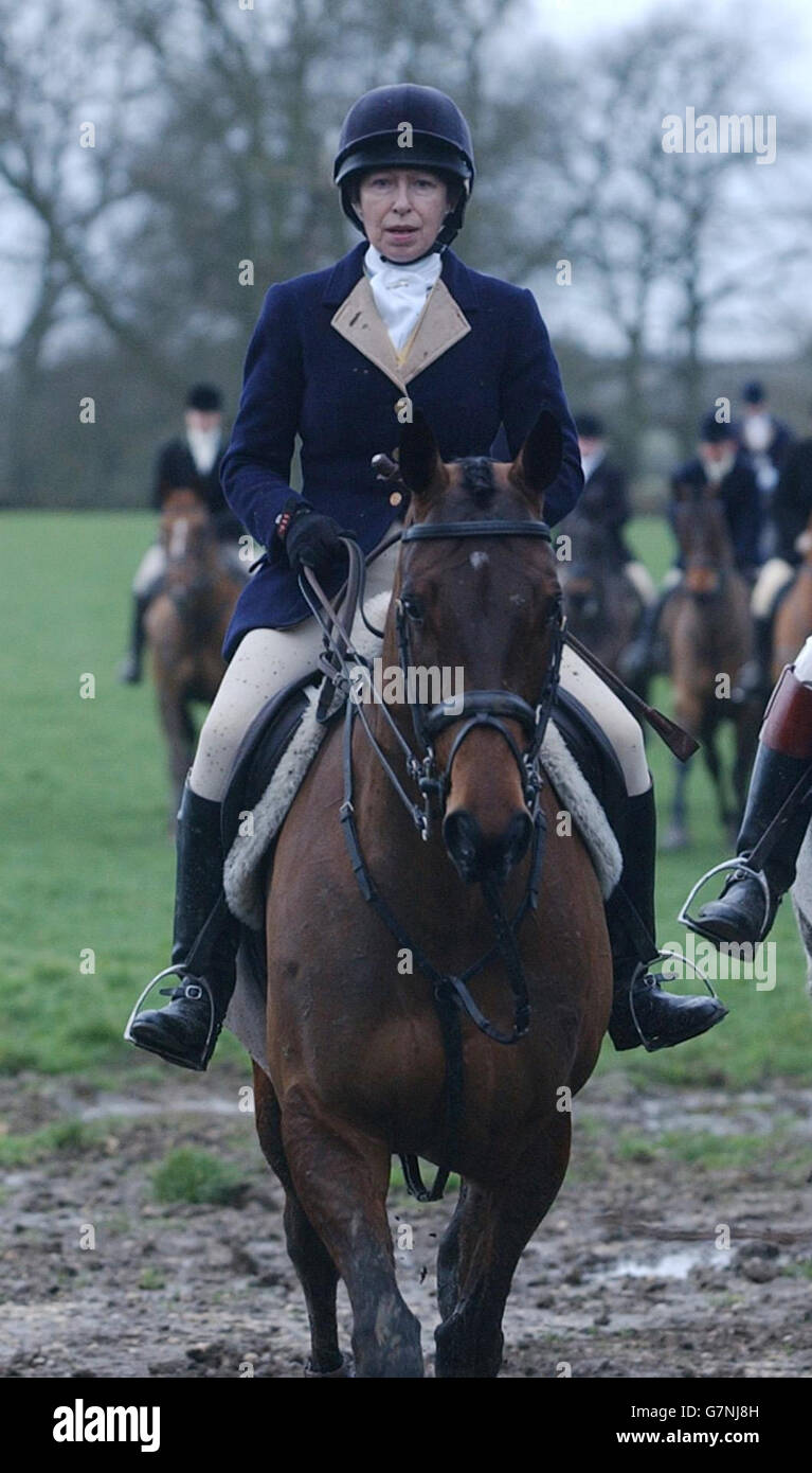 Die Prinzessin Royal. Die königliche Prinzessin auf der Jagd mit dem Herzog von Beaufort Hounds in der Nähe von Tetbury. Stockfoto