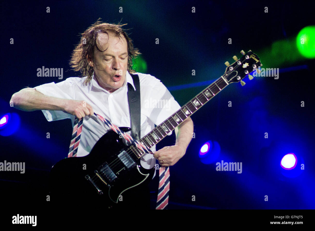 Angus jung -Fotos und -Bildmaterial in hoher Auflösung – Alamy