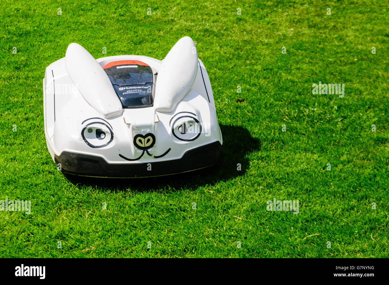 Eine Husqvarna Roboter Grass und Rasenmäher getarnt als ein Kaninchen. Stockfoto