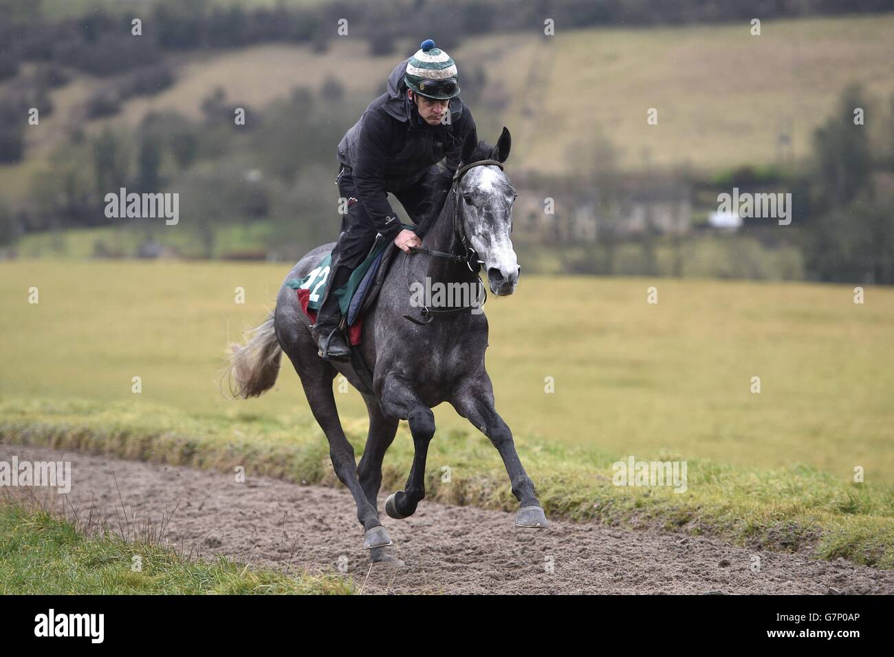 Bristol de Mai reitet auf dem Galopp während des Stallbesuchs auf der Grange Hill Farm in Cheltenham. Stockfoto