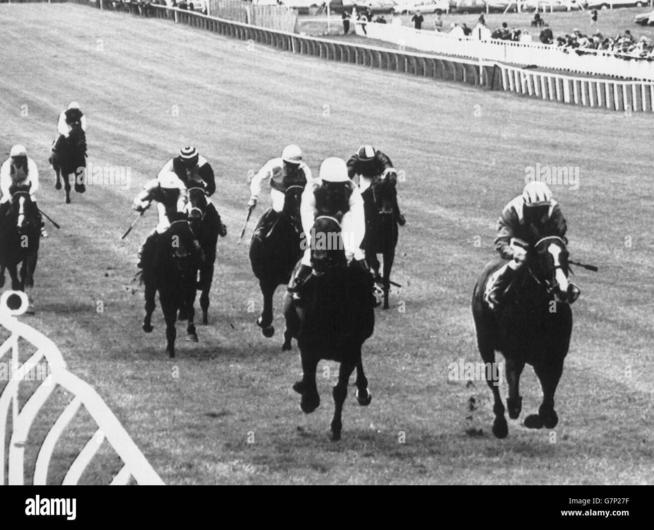 Pferderennen - Irish Derby - die Curragh Stockfoto