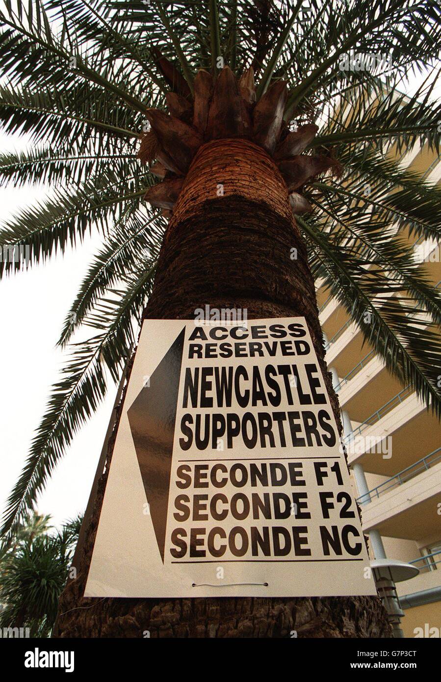 FUSSBALL - UEFA CUP VIERTELFINALE - AS Monaco / Newcastle United. Fans von Newcastle United unterschreiben auf einem Psalmbaum in Monaco Stockfoto