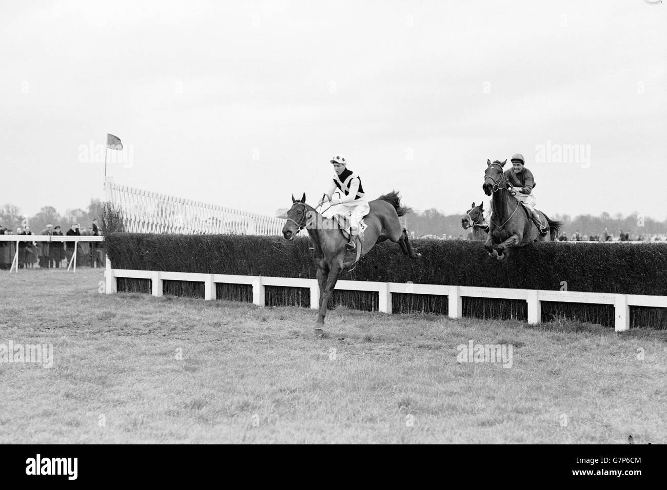 Horse Racing - die nationale Studie Handicap Steeplechase - Hurst Park Stockfoto