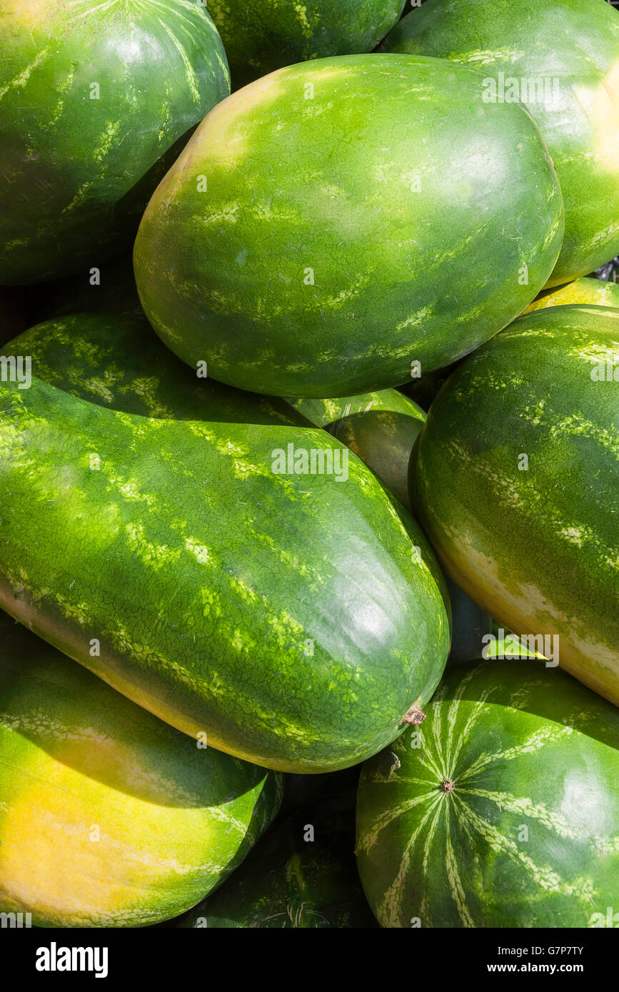 Wassermelonen im Stall, Kos-Stadt, Kos (Cos), die Dodekanes, Süd Ägäis, Griechenland Stockfoto