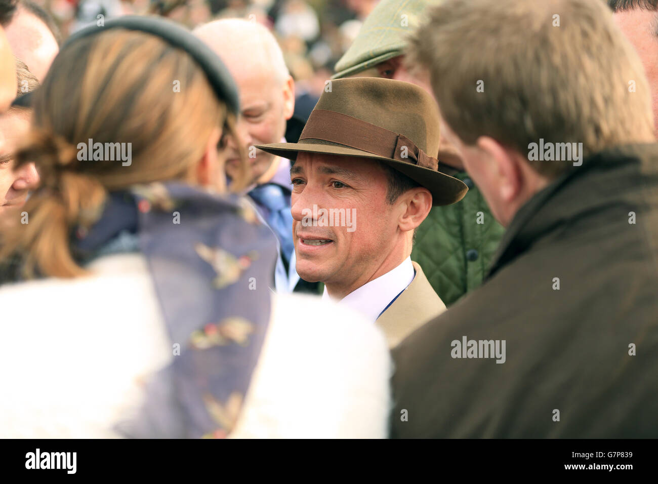 Horse Racing - 2015 Cheltenham Festival - Ladies Day - Cheltenham Racecourse Stockfoto