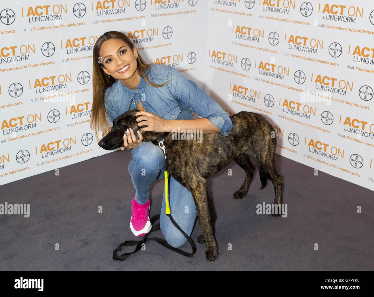 Crufts 2015 Stockfoto