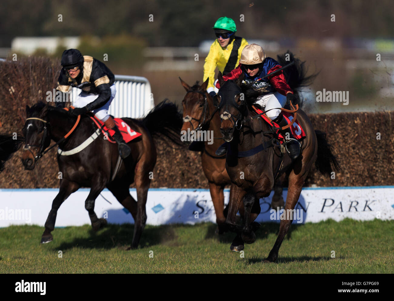 Loose Chips, geritten von LBdr Sally Randell auf dem Weg zum Gewinn des Grand Military Gold Cup, nachdem er beim Grand Military Gold Cup Day auf der Sandown Park Racecourse den letzten Sprung gemacht hatte. Stockfoto