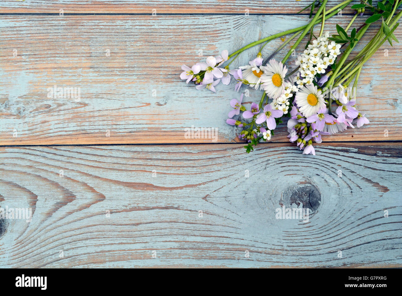 Leere Kopie Raum aus Holz Hintergrund mit Feldblumen Stockfoto