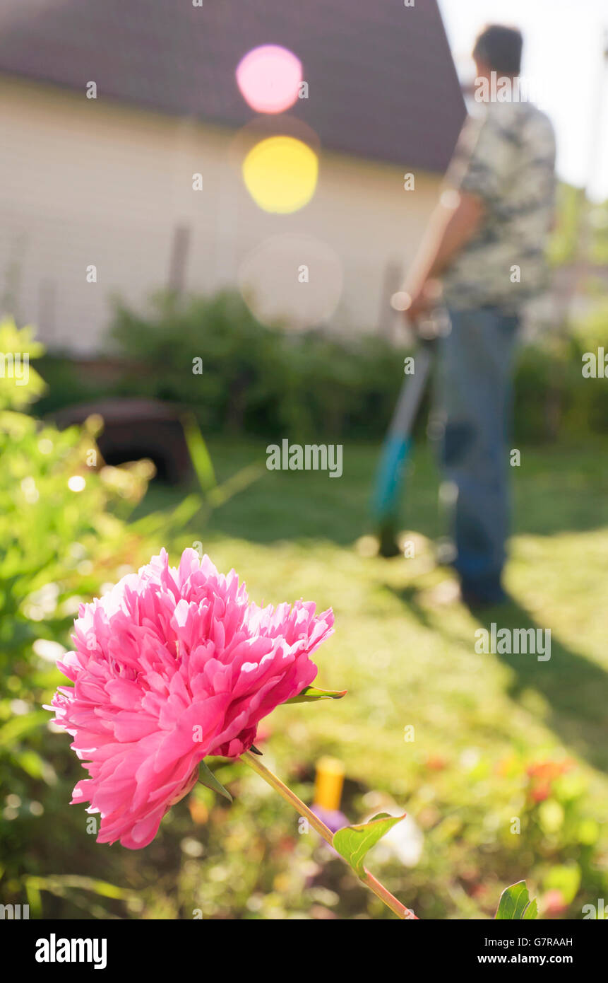 Schneiden des Grases im Garten, verschwommen Menschen Silhouetten Stockfoto