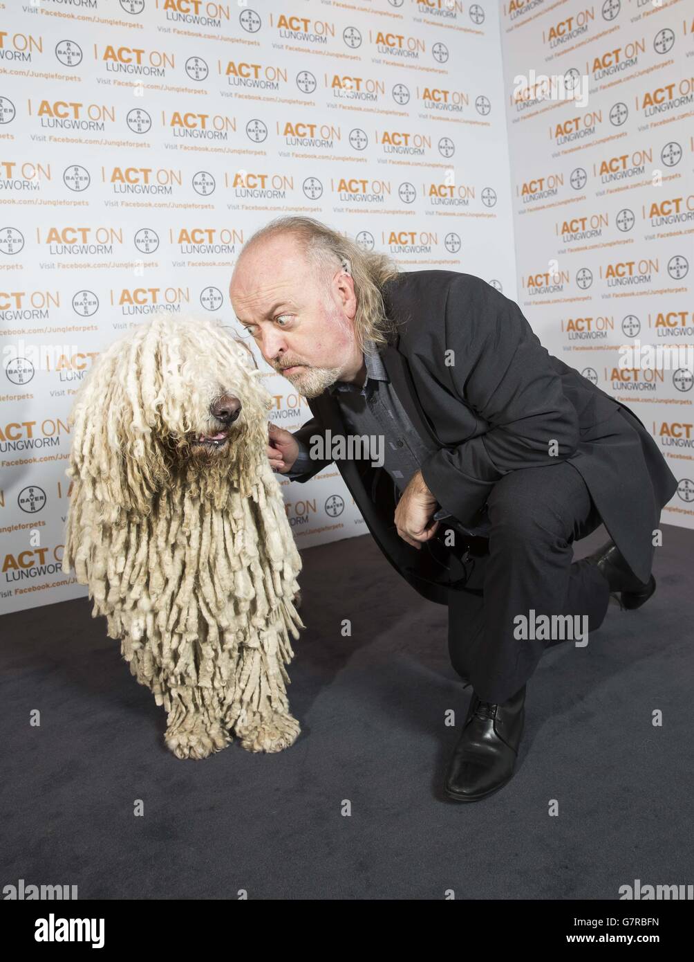 Crufts 2015 Stockfoto