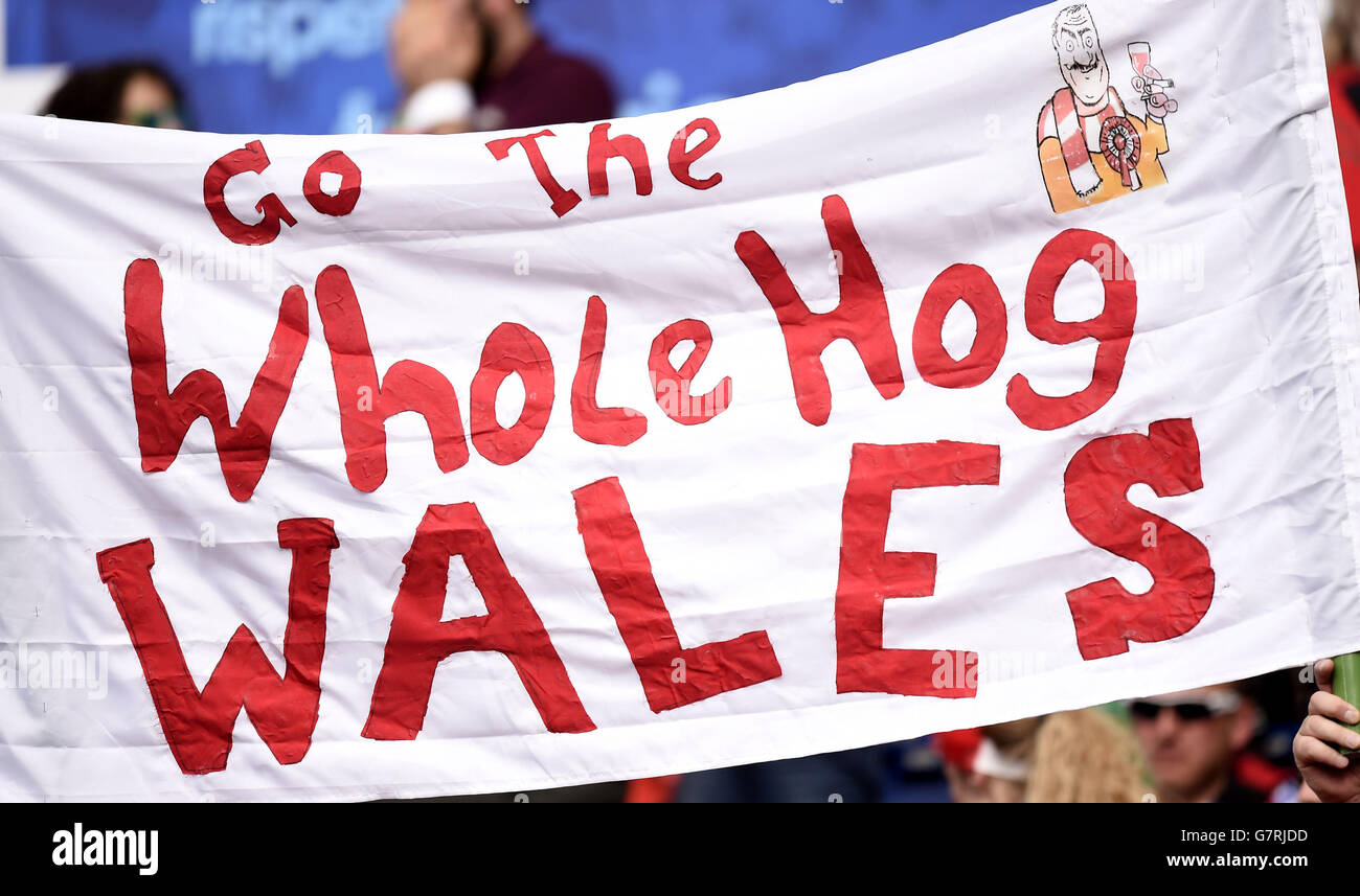 Ein walisischer Fan hält während des RBS Six Nations-Spiels 2015 im Stadio Olympico, Rom, Italien, ein Banner mit der Aufschrift Go the Whole Hog Wales auf den Tribünen. Stockfoto