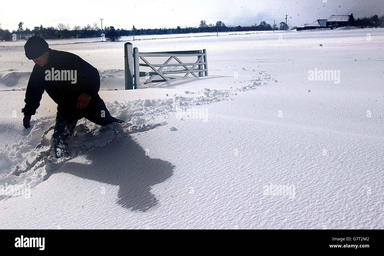 Schnee über einen Fuß tief machte es schwierig für Bergbauern in den Hambleton Hills über Thirsk, sich nach schweren nächtlichen Schneefällen und Schneestürmen heute Morgen zu bewegen. Stockfoto