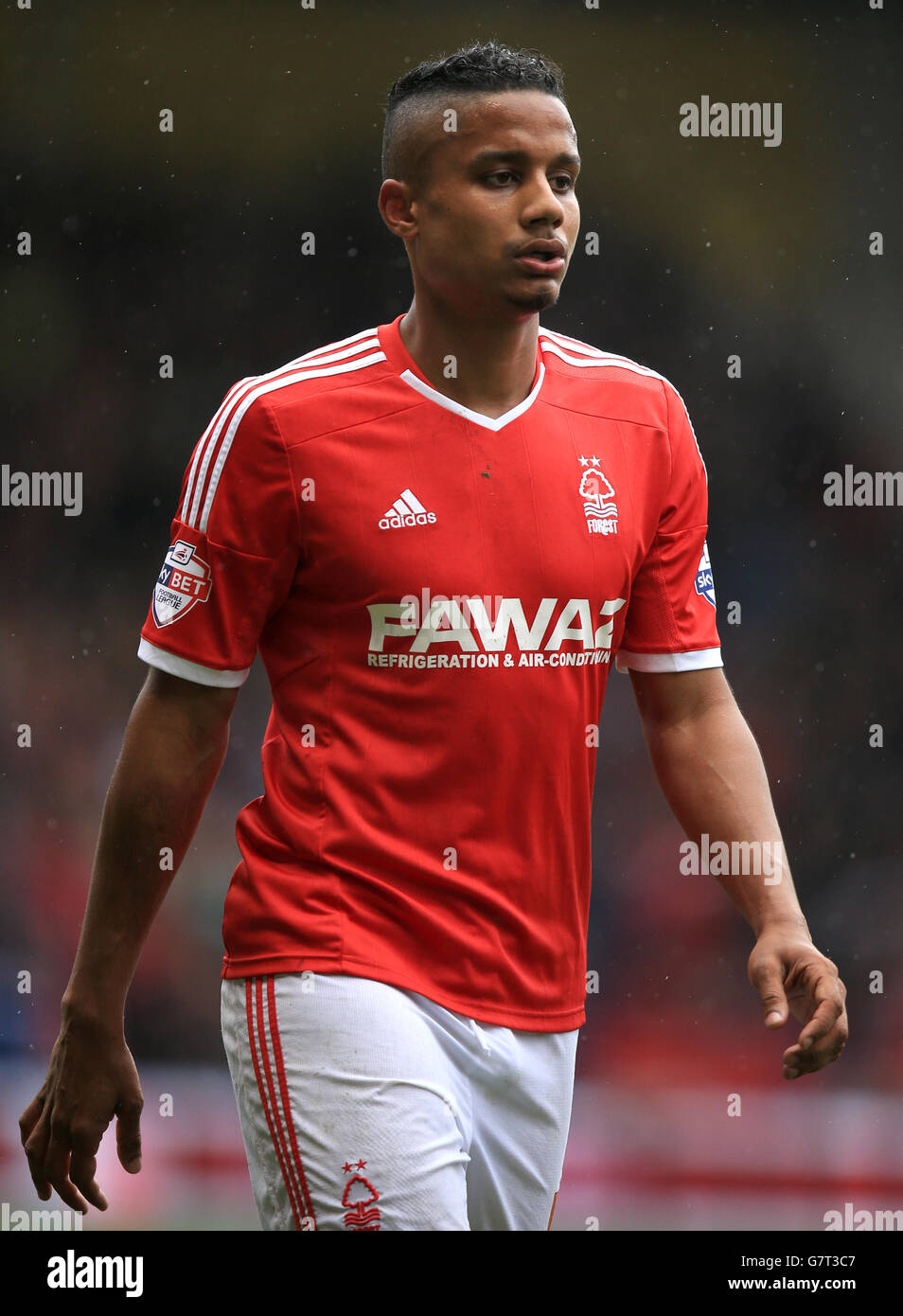Fußball - Sky Bet Championship - Nottingham Forest gegen Wolverhampton Wanderers - City Ground. Michael Mancienne, Nottingham Forest Stockfoto