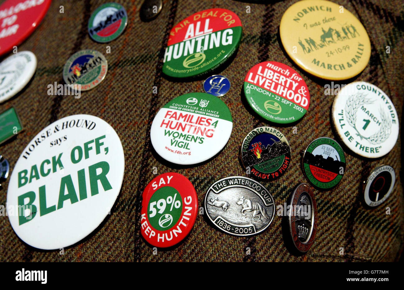 Hare Coursing - Waterloo Cup. Eine Tweed-Jacke, die am letzten Tag mit Jagdausweisen bedeckt ist. Stockfoto Hare Coursing - Waterloo Cup. Eine Tweed-Jacke, die am letzten Tag mit Jagdausweisen bedeckt ist. Stockfoto
