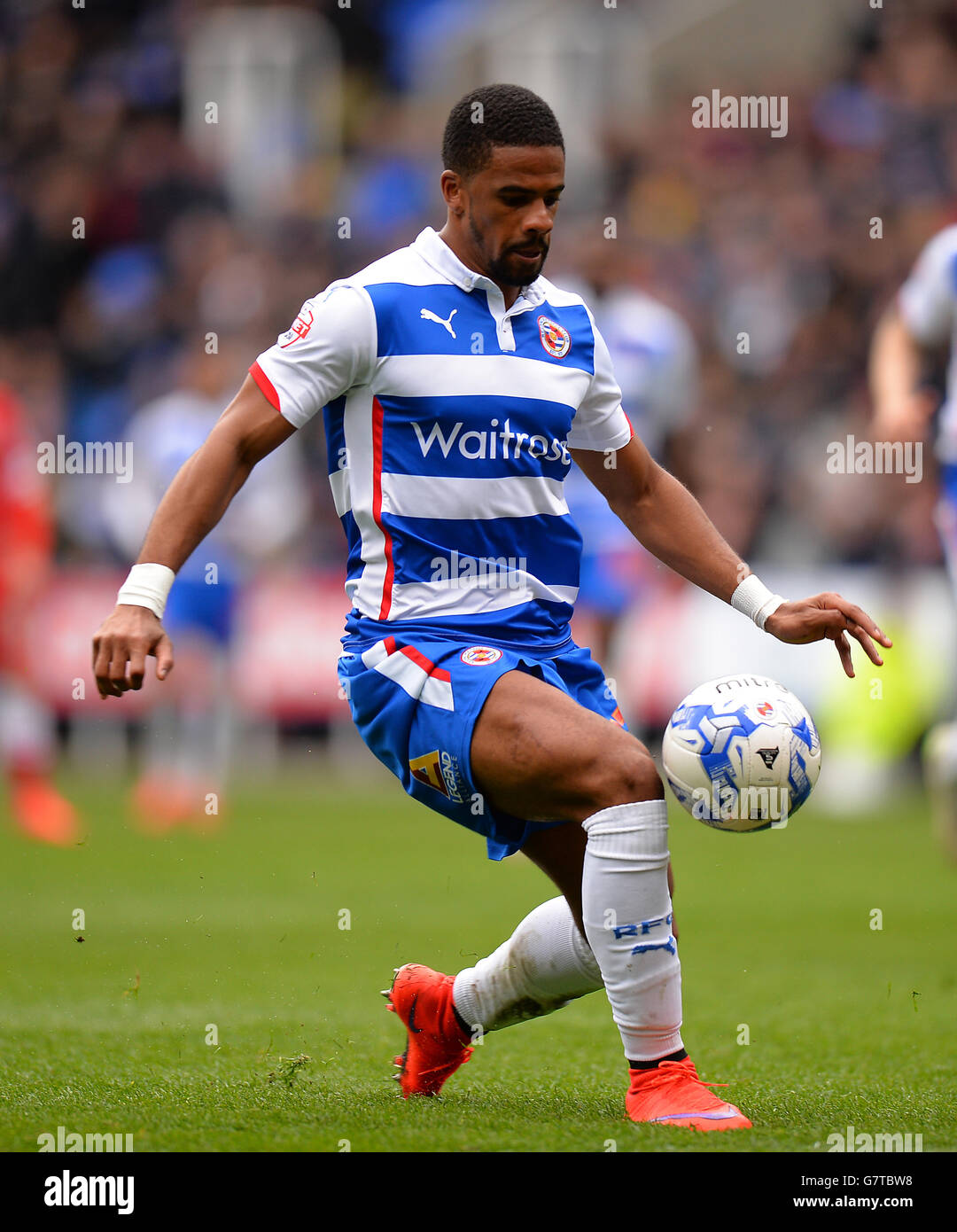 Fußball - Himmel Bet Meisterschaft - lesen gegen Cardiff City - Madejski-Stadion Stockfoto