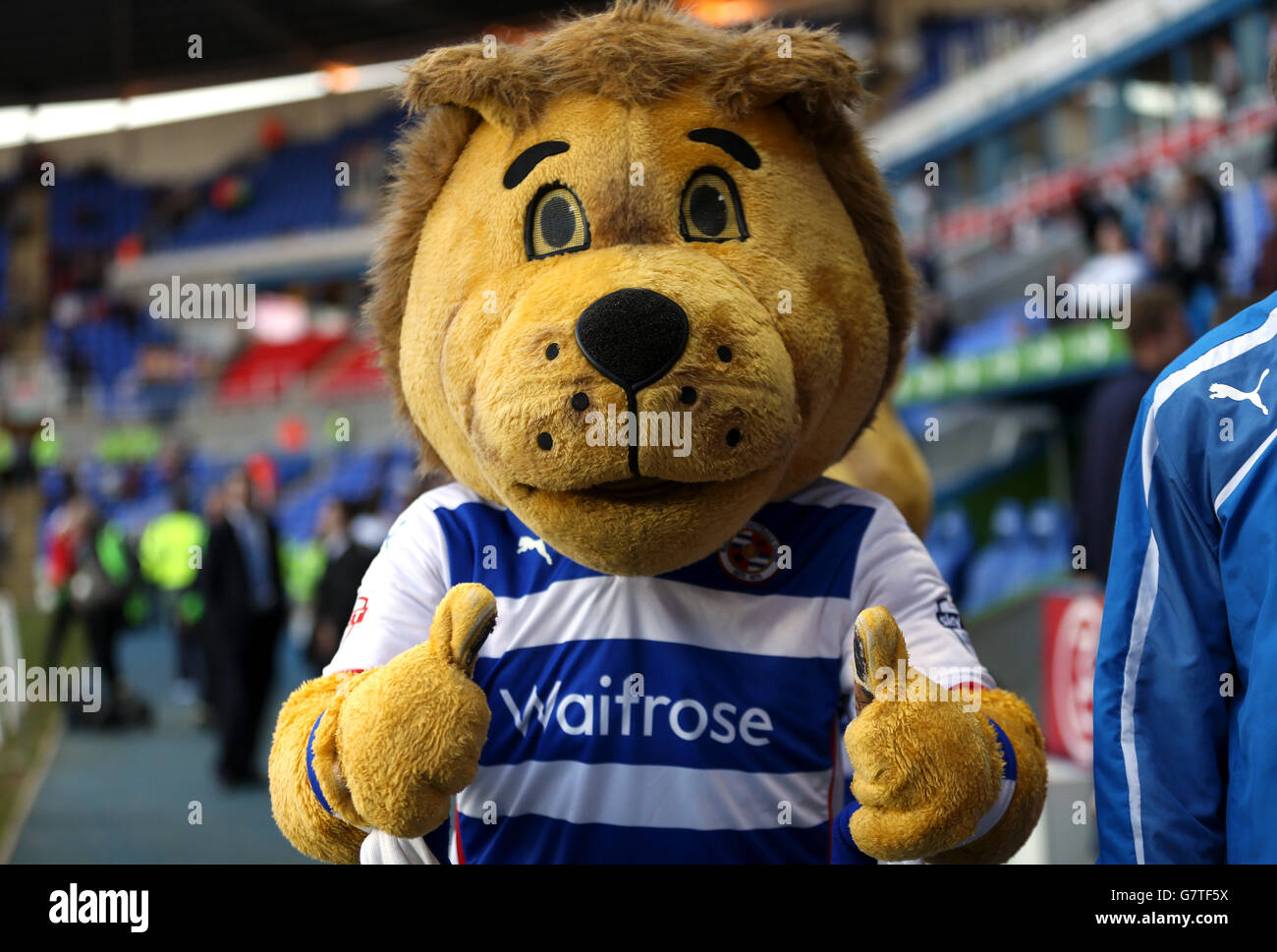 Fußball - Sky Bet Championship - Reading / AFC Bournemouth - Madejski Stadium. Lesend Maskottchen Kingsley der Löwe Stockfoto