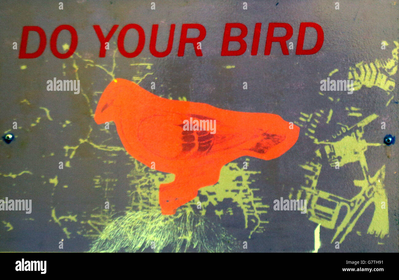 Kunstwerke an den Flügeln Schauen Sie nach, wo Lapwings, einer der weltweit gefährdetsten Vögel, im Gefängnis von Maghaberry ein Heiligtum gefunden hat, das für die Unterbringung der gefährlichsten Insassen in Nordirland verwendet wird. Stockfoto