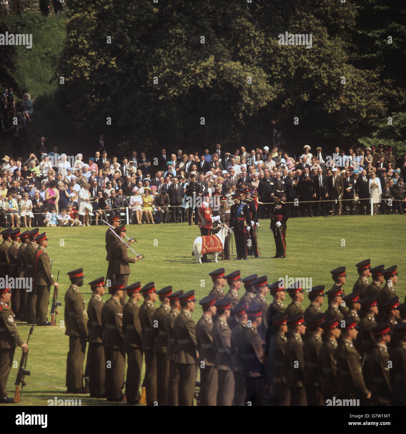 Taffy, die Maskottchen-Ziege des Regiments des neu gegründeten Royal Regiment of Wales, trifft den Prinz von Wales während der Parade des Regiments am Cardiff Castle. Der Prinz ist in der Uniform des Oberbefehlshabers des Regiments, das er bei seiner Investitur in Caernarvon am 1. Juli unter seinem Rang tragen wird. Stockfoto