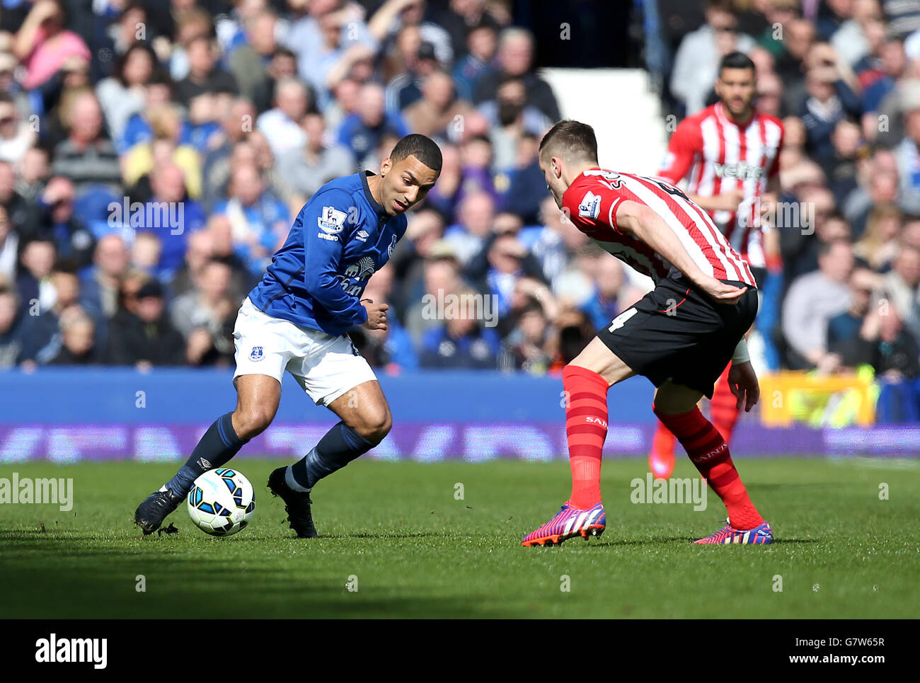 Evertons Aaron Lennon (links) und Southampton's Morgan Schneiderlin (rechts) kämpfen während des Spiels der Barclays Premier League im Goodison Park, Liverpool, um den Ball. DRÜCKEN SIE VERBANDSFOTO. Bilddatum: Samstag, 4. April 2015. Siehe PA Geschichte FUSSBALL Everton. Bildnachweis sollte lauten: Peter Byrne/PA Wire. Stockfoto