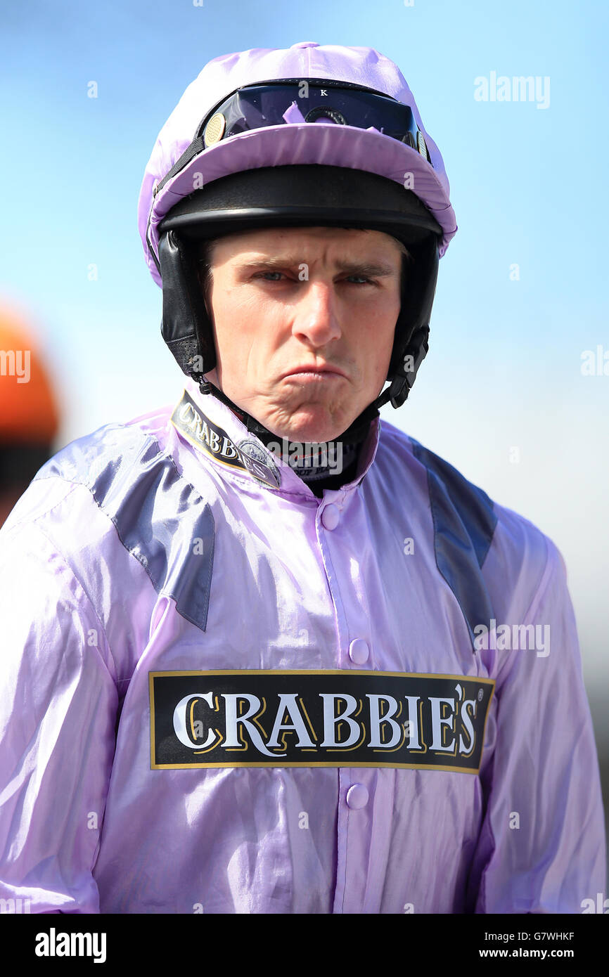 Pferderennen - Crabbies Grand National 2015 - Grand National Day - Aintree Racecourse. Jockey Harry Skelton Stockfoto