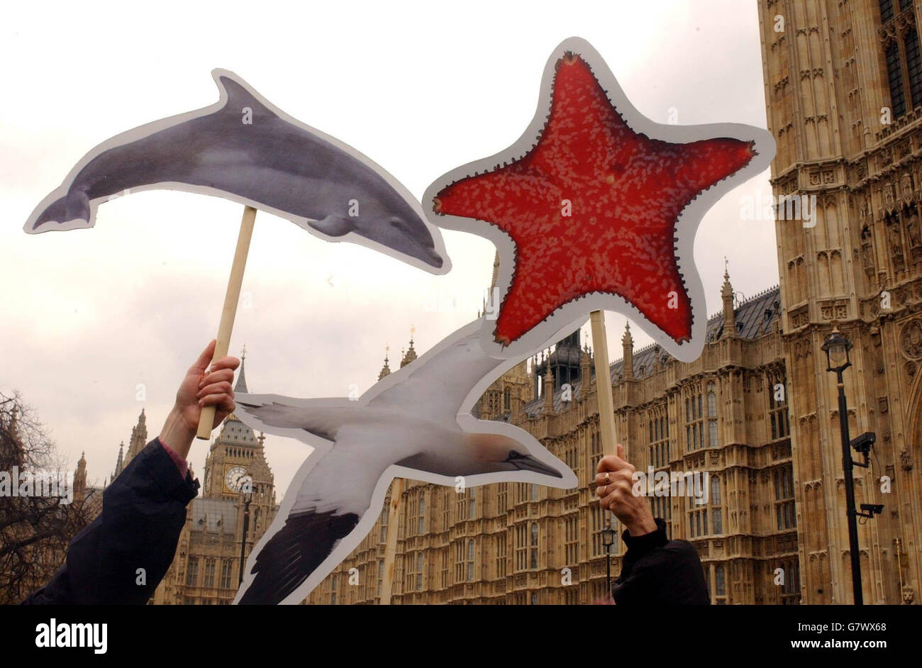 Tierschützer halten Bilder von marinen Wildtieren hoch. Aktivisten reisten nach London, um die Regierung zu drängen, mehr Dringlichkeit für die Einführung des vorgeschlagenen Meeresgesetzes einzulegen, das darauf abzielt, die Meereswildtiere zu schützen, die von Verschmutzung bedroht sind und die Fischerei schädigen. Stockfoto