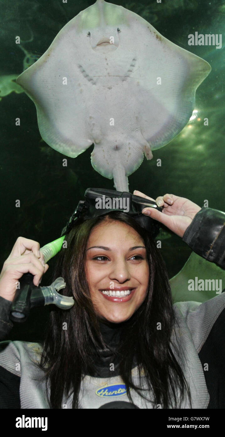 Die ehemalige Miss UK Nicola Jolly, in Deep Sea World bei North Queensferry, bereitet sich darauf vor, mit Haien und Stachelrochen für eine grampische Fernsehsendung zu schwimmen. Stockfoto