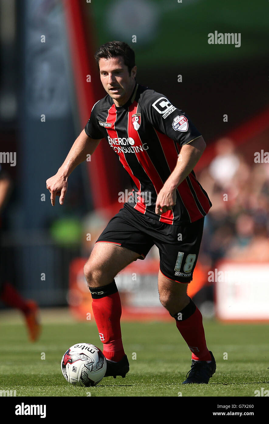 Fußball - Sky Bet Championship - Bournemouth gegen Sheffield Mittwoch - Dean Court. Yann Kermorgant von AFC Bournemouth Stockfoto