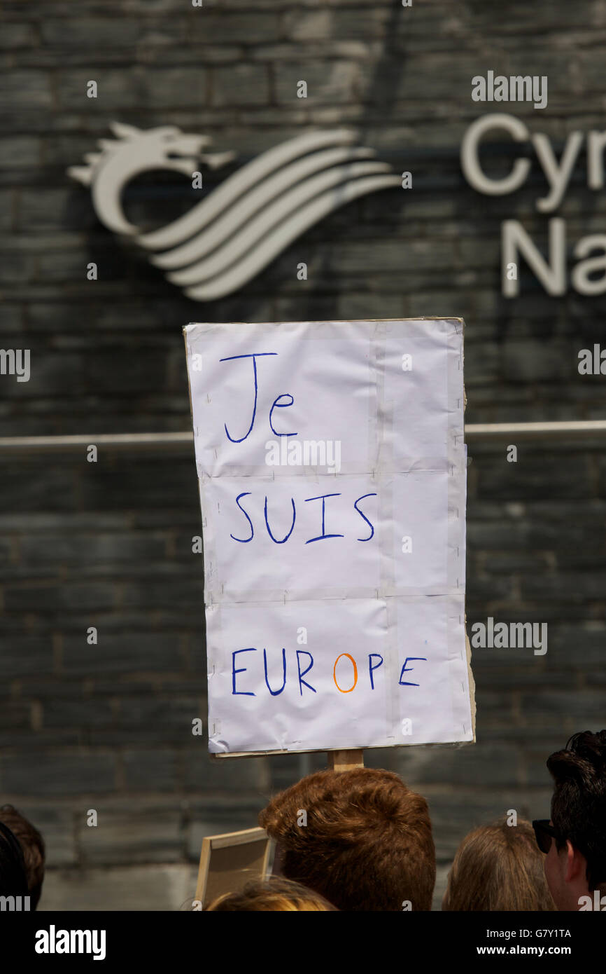 Cardiff, Wales, UK. 27. Juni 2016. College und Oberstufe Studenten protestieren im Stadtzentrum von Cardiff und außerhalb der Welsh Assembly in Cardiff Bay, ein zweites Referendum und eine Abstimmung für 16 jährige nach vergangenen Donnerstag UK Austritt Abstimmung gefordert. Bildnachweis: Haydn Denman/Alamy Live-Nachrichten Stockfoto