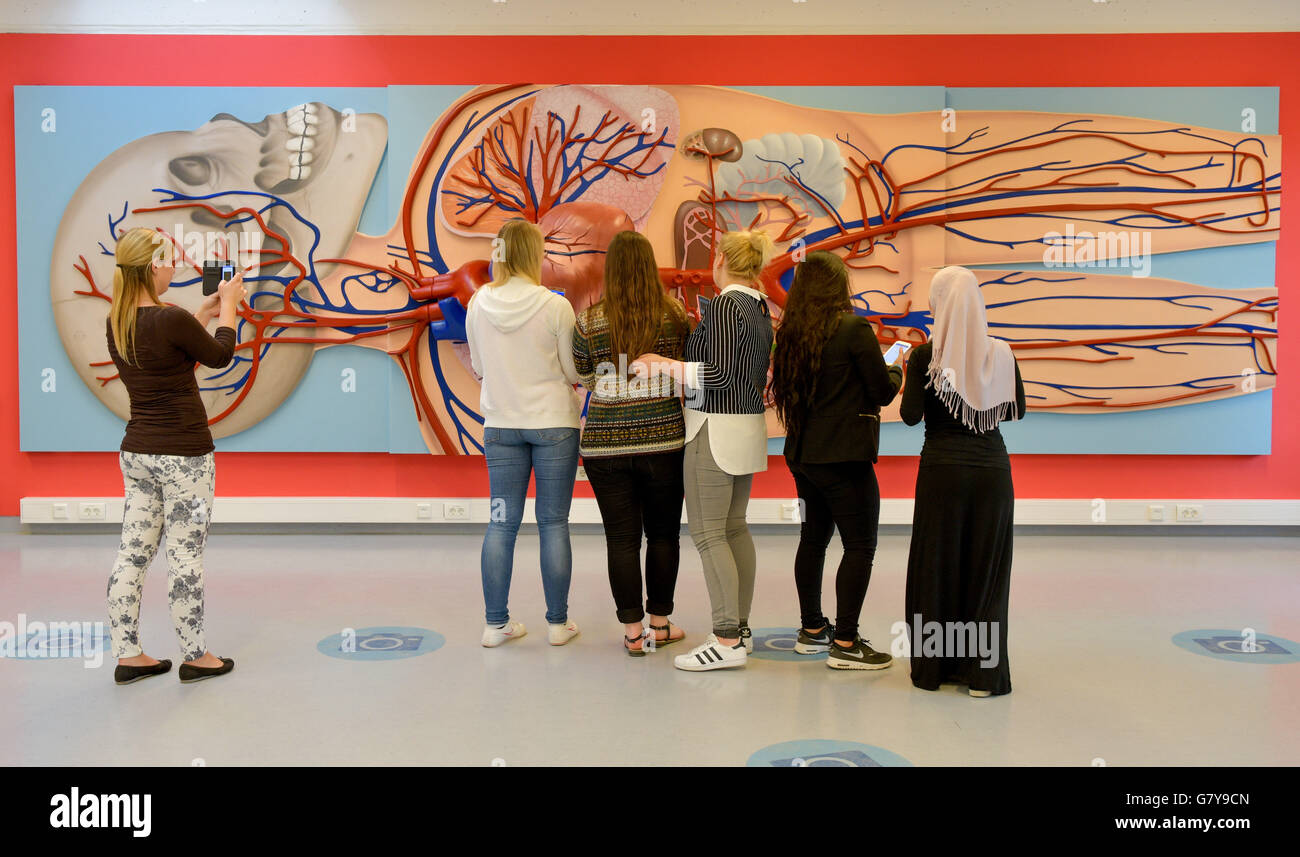 Schülerinnen und Schüler der staatlichen Berufsschule für Health Care verwenden ihr Smartphone eine übergroße 3D-Modell des menschlichen Herz-Kreislauf-Systems in Hamburg, Deutschland, 28. Juni 2016 zu erkunden. Die Schule präsentiert ihr Konzept für einen Hands-on-Lernraum unter dem Titel "weiter: Klassenzimmer" in einer Pressekonferenz. Foto: AXEL HEIMKEN/dpa Stockfoto
