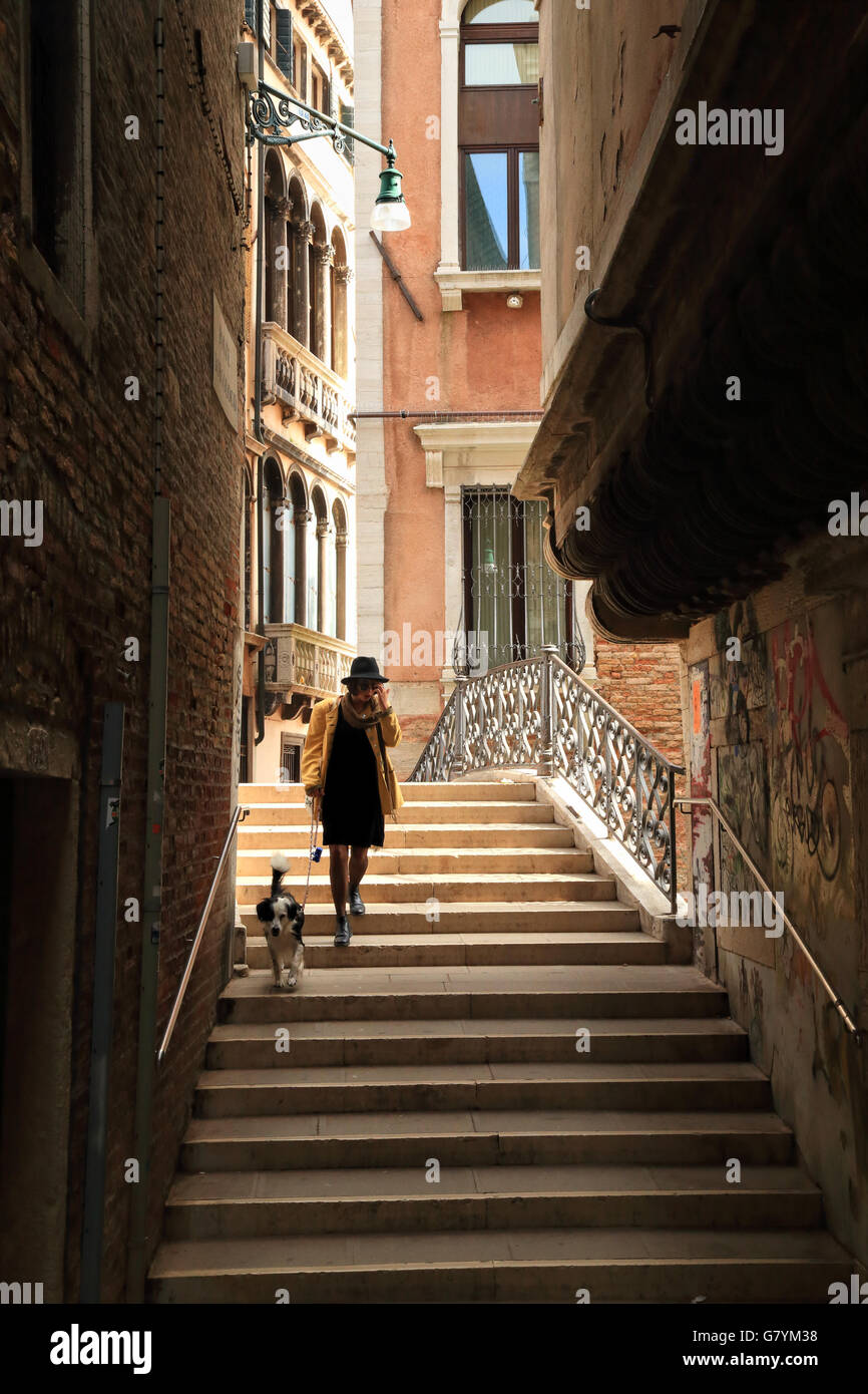 Venedig Schatten Buch Cover 2015 Italien Stockfoto