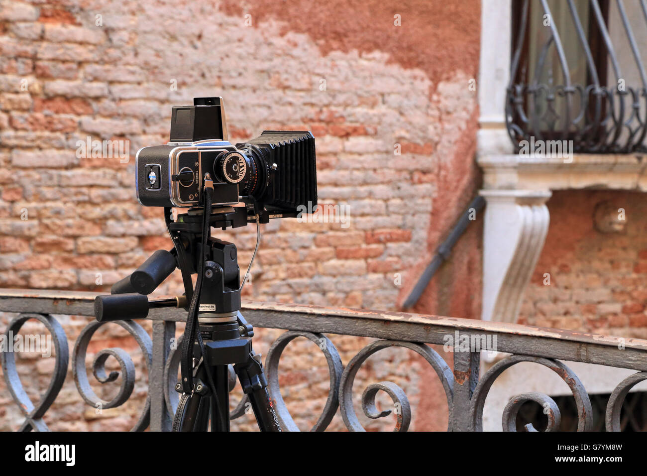 Hasselblad 500 C/M Medium format Filmkamera mit 80mm Hasselblad Objektiv und A12 Film zurück in Aktion in Venedig. Stockfoto