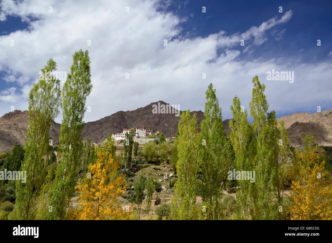 Likir Kloster in der Nähe von Leh, Ladakh, Indien Stockfoto