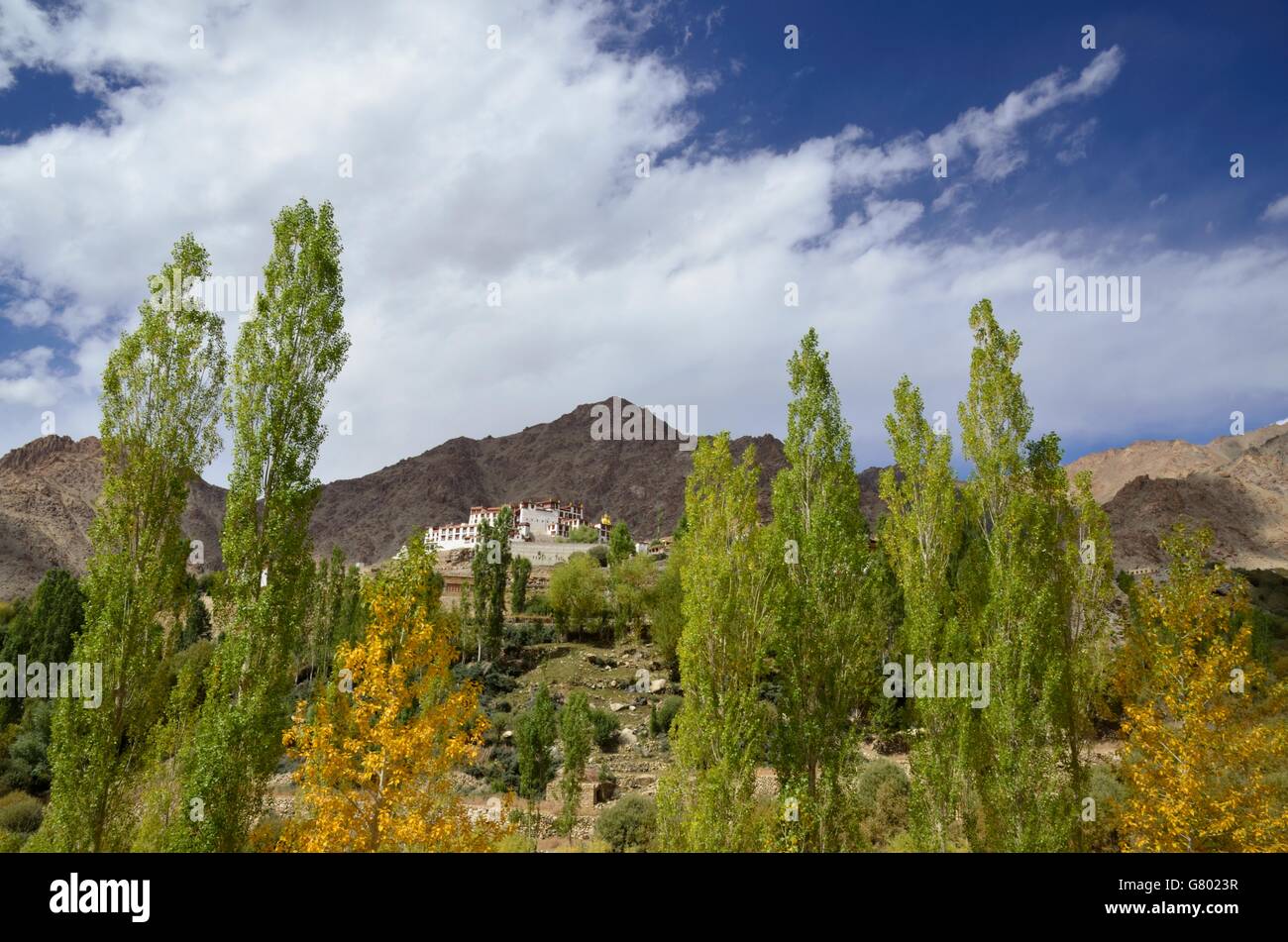 Likir Kloster in der Nähe von Leh, Ladakh, Indien Stockfoto