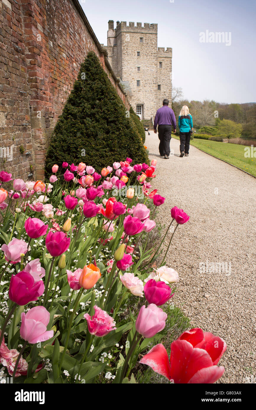 UK, Cumbria, Kendal, Sizergh, Stammsitz der Familie Strickland, Besucher im Garten, Tulpe Grenzen im Frühjahr Stockfoto