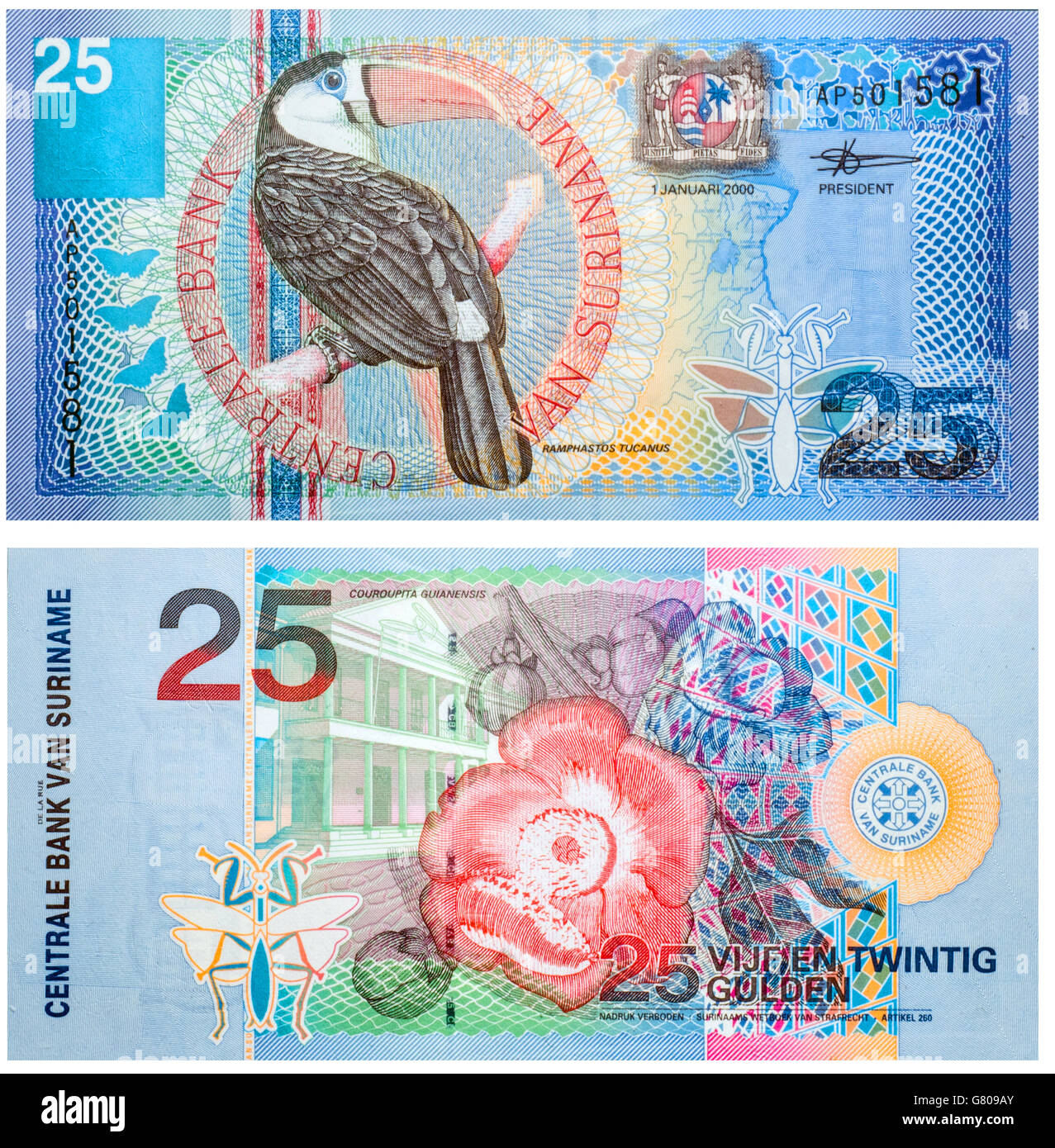 Banknote 25 Gulden Suriname Vorder- und Rückseite isoliert auf weiss auf 2000 abgegeben. Rot-billed Tukan auf Vorder- und eine Blume auf Rückseite Stockfoto