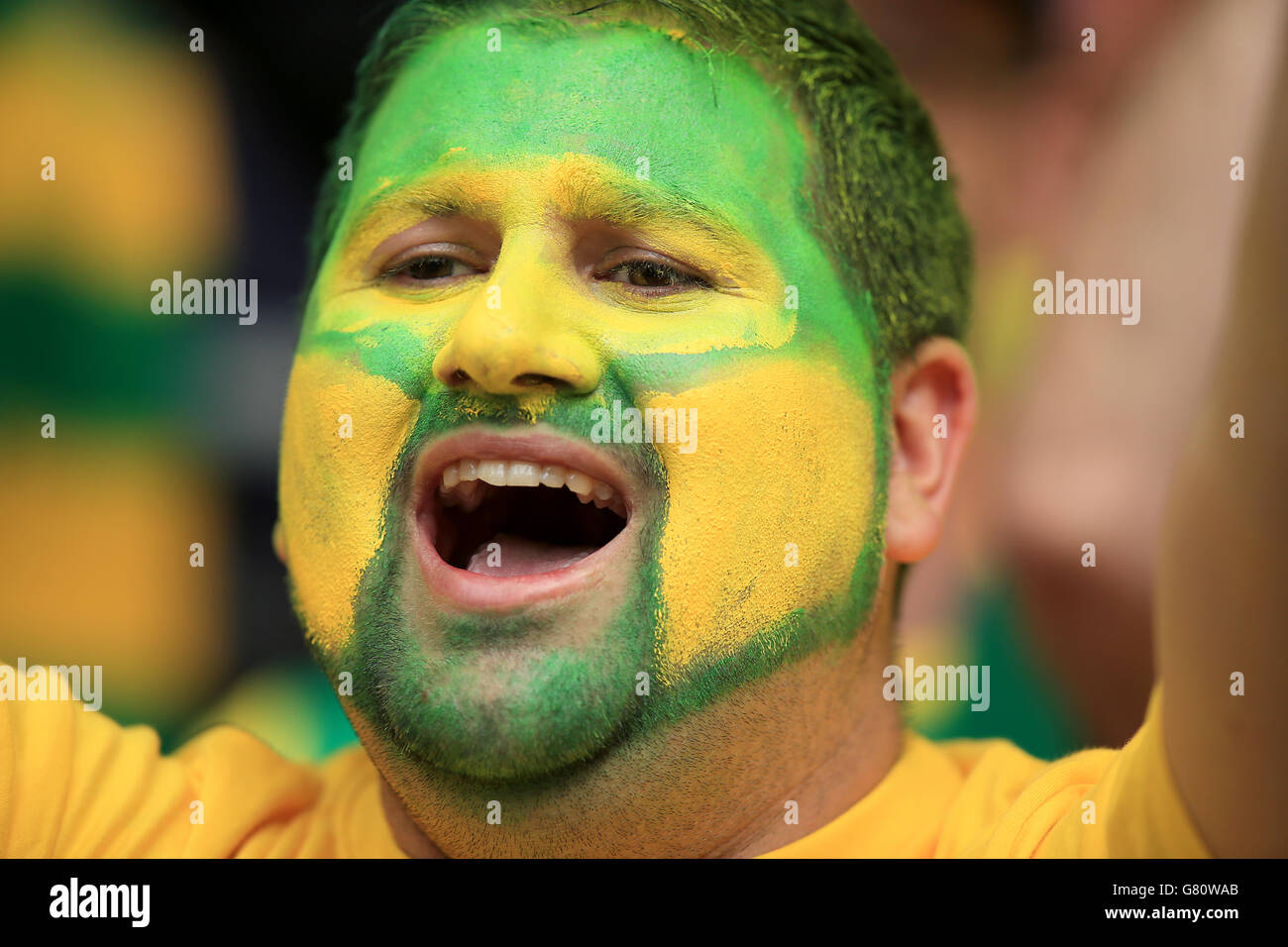 Ein Norwich-Fan zeigt seine Unterstützung auf den Tribünen mit den Norwich-Farben, die ihm während des Spiels der Barclays Premier League im Emirates Stadium in London ins Gesicht gemalt wurden. DRÜCKEN SIE VERBANDSFOTO. Bilddatum: Mittwoch, 20. Mai 2015. Siehe PA Geschichte FUSSBALL Arsenal. Bildnachweis sollte lauten: Mike Egerton/PA Wire. Während des Sky Bet Championship Play Off Finals im Wembley Stadium, London. DRÜCKEN SIE VERBANDSFOTO. Bilddatum: Montag, 25. Mai 2015. Siehe PA Geschichte FUSSBALL-Meisterschaft. Bildnachweis sollte lauten: Mike Egerton/PA Wire. Stockfoto